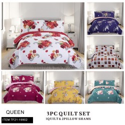 QUEEN SIZE 3PC SET PRINTING AB SURFACE SIX MIXED QUILT 6PC/CS
