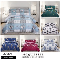 QUEEN SIZE 3PC SET PRINTING AB SURFACE SIX MIXED QUILT 6PC/CS